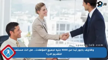 وظائف بأجور تبدأ من 9000 جنيه لجميع المؤهلات.. هل أنت مستعد للتقديم الآن؟